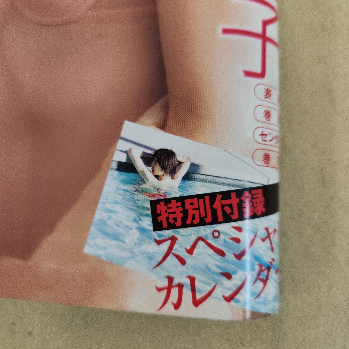 k09-328 週刊ヤングジャンプ No.4.5合併特大号 2015.1/22号 第37巻第4号 特別付録有 背表紙破れ有 歪み有 ピンナップ有