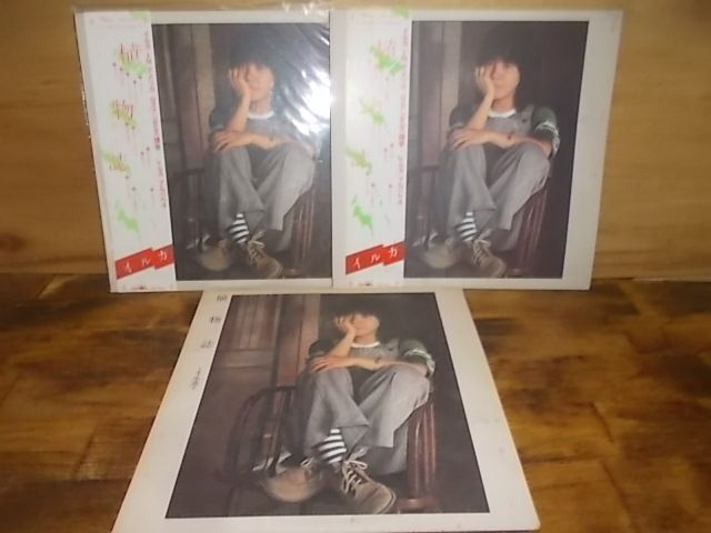 c1036　【未確認(rèn)】　イルカ/植物志　LP3枚セット