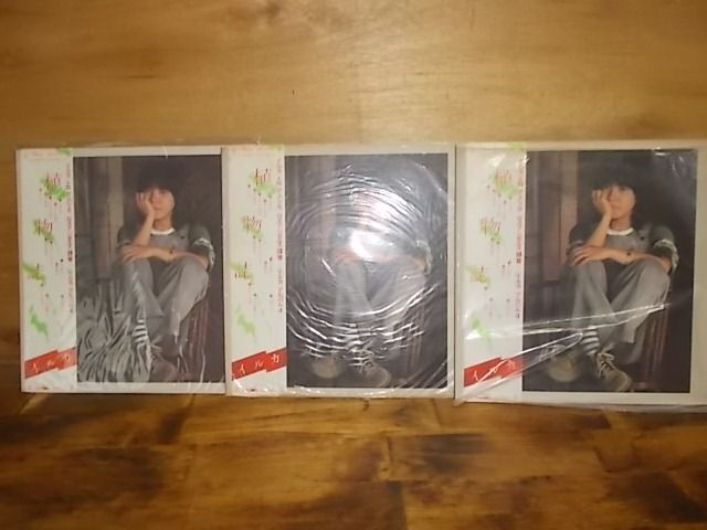 B4811　【未確認(rèn)】　イルカ/植物志　LP3枚セット