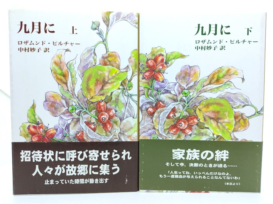 9 месяц . сверху * внизу шт ./ro Zam ndo*piru коричневый - работа ; Nakamura .. перевод /. север фирма 9 месяц . сверху * внизу шт ./ro Zam ndo*piru коричневый - работа ; Nakamura .. перевод /. север фирма