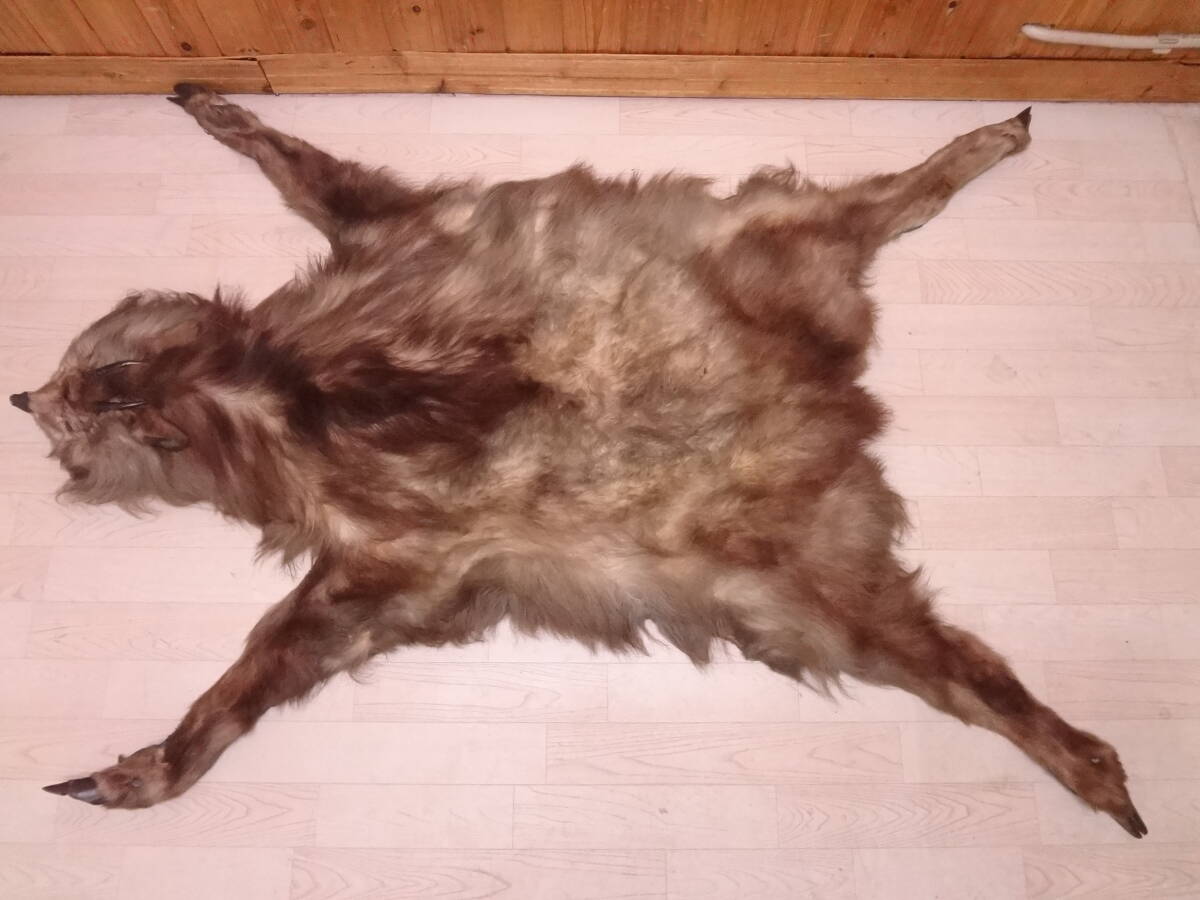 大清国郵政 旧中国切手 萬寿記念 9種揃 未使用 太極透 最初の