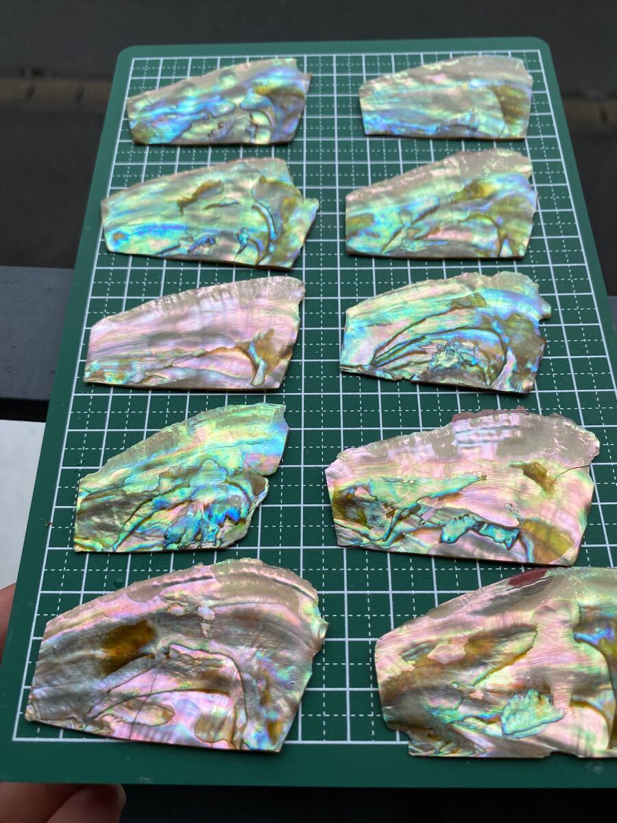 アワビ貝 ニュージーランド産 15枚セット 螺鈿細工 ハンドメイド ハンドクラフト ネイル用シェルパーツなど素材の画像1