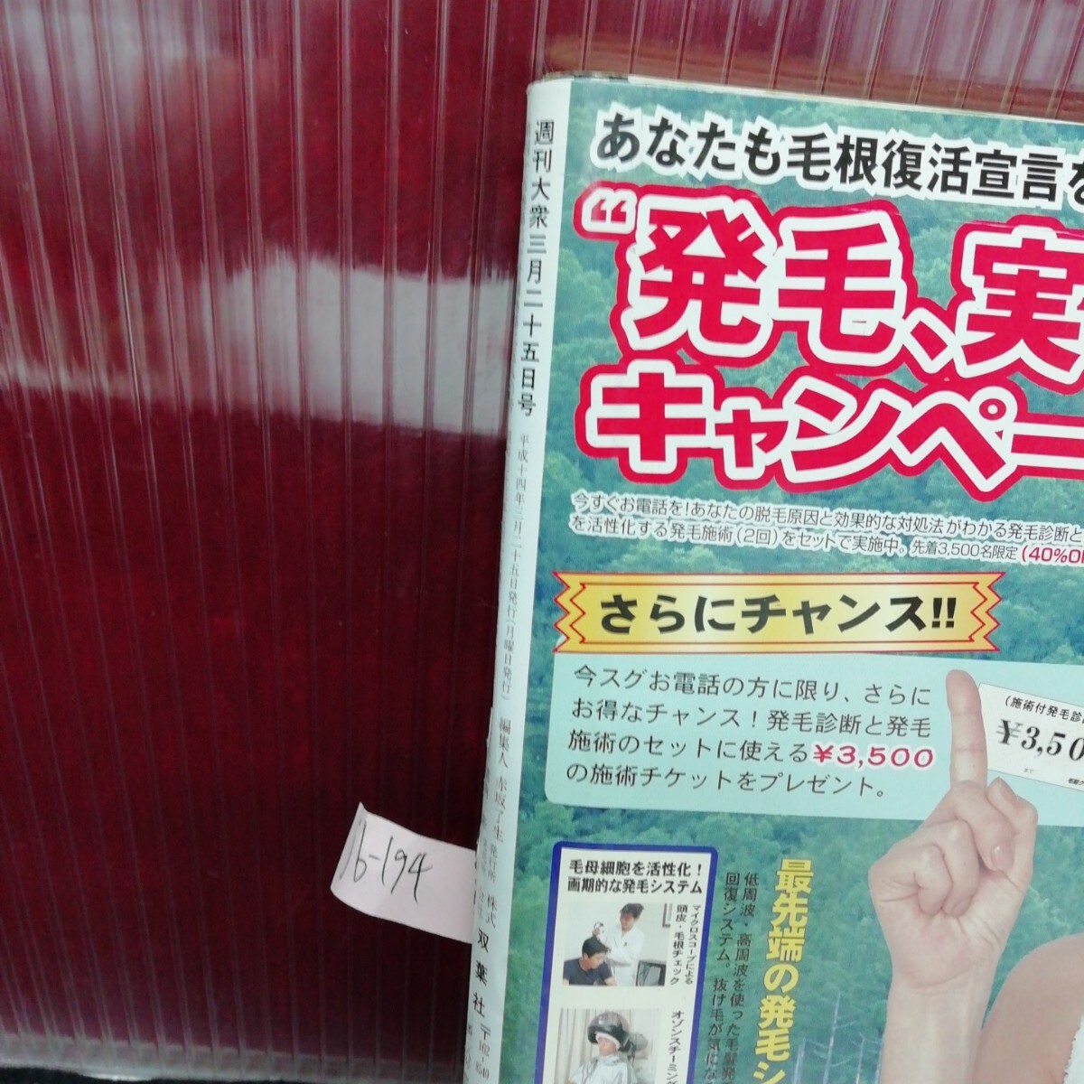 jb-194/週刊大衆 杏野るり 嶋村かおり 美咲ひかる 不二子 星野まどか 平成14年3月25日発行 /L2/61203