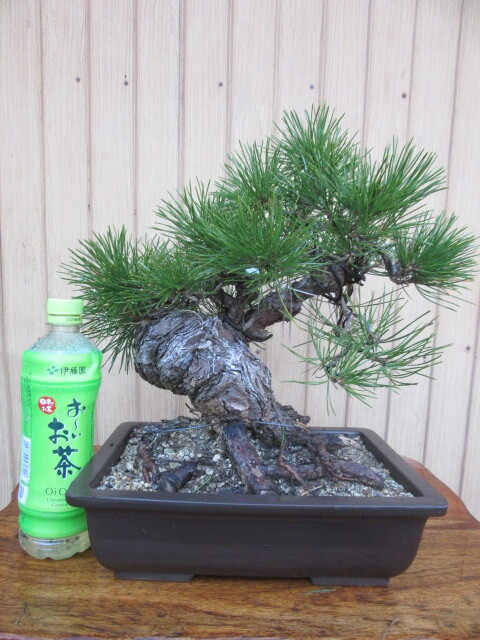 栗山巧／記念パネル（2000本、1500本、1000本）