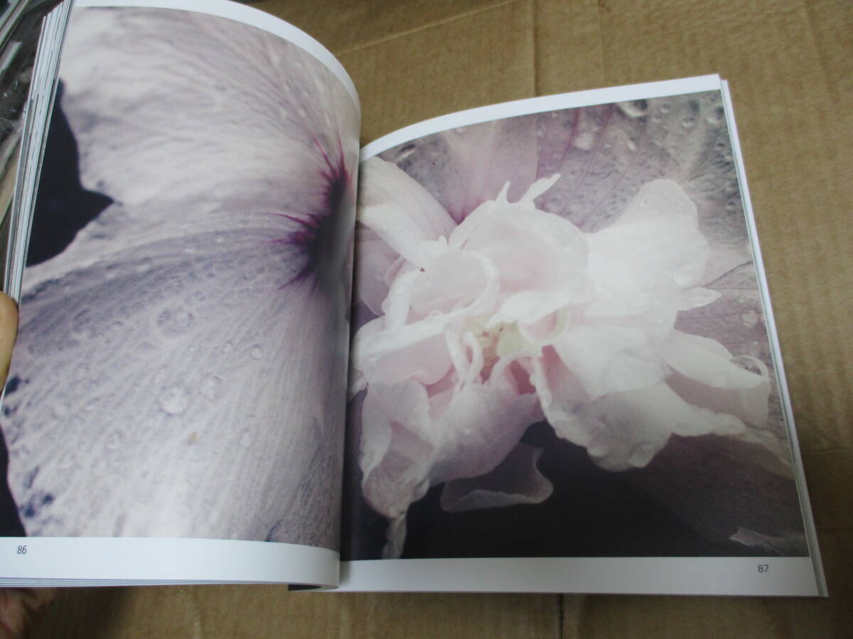 写真集「To Reminisce」Chayaporn Maneesutham(Tew)アピ 写真集「To Reminisce」Chayaporn Maneesutham(Tew)アピ