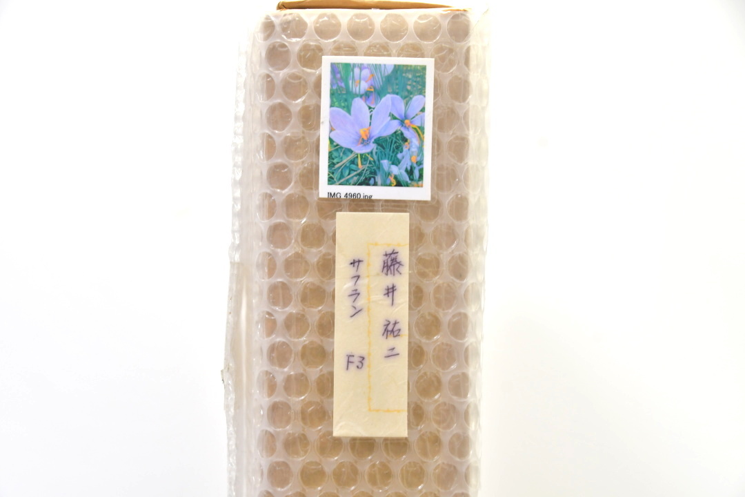 389 真作 藤井祐二 「サフラン」 F3号 ○ 油彩 リアリズム 絵画 389 真作 藤井祐二 「サフラン」 F3号 ○ 油彩 リアリズム 絵画