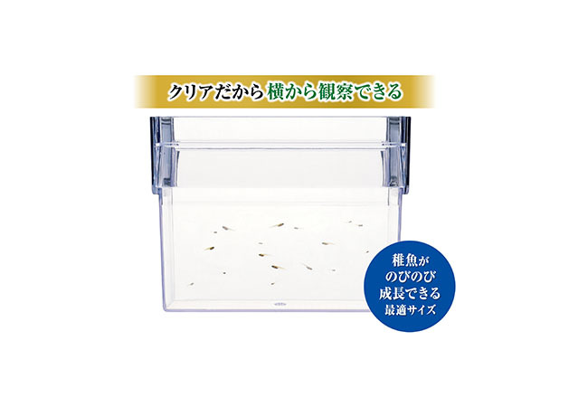 GEX メダカ元気 育てるお守りケース 観賞魚用品 水槽用品稚魚育成の必需品