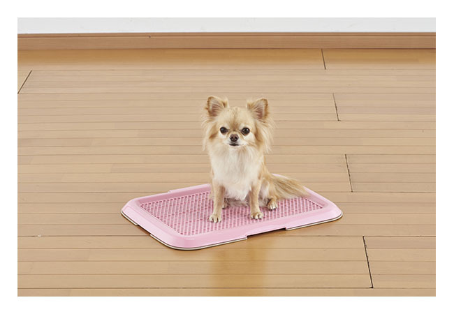  thin type upbringing . tray S pink bon Via ru navy blue thin design × clean long-lasting! dog .. dog dog DOG love dog toilet ...