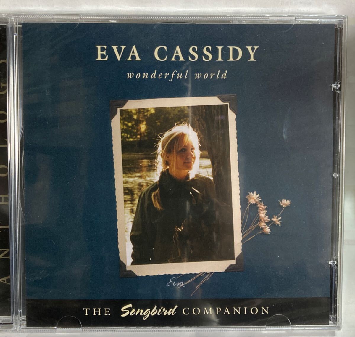 イーヴァキャシディー EVA CASSIDY WONDERFUL WORLD