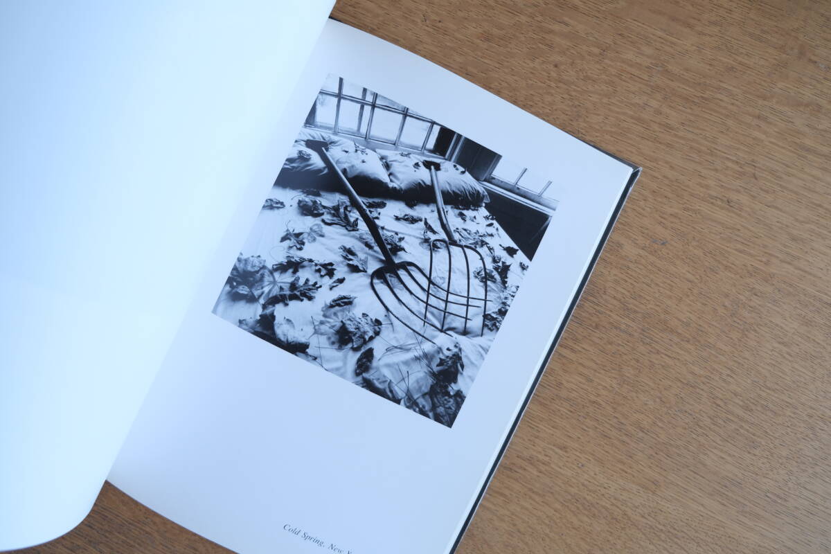 Reves アーサー・トレス Arthur Tress ミシェル・トゥルニエ