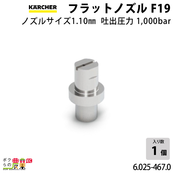 ケルヒャー フラットノズル30度 6.025-467.0 高圧洗浄機用 ノズルサイズ 110 KAERCHER【EASY!Lock