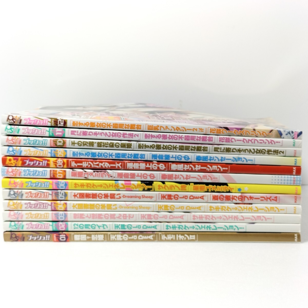 PUSH!! プッシュ！！ 2014年1月号-12月号 12冊まとめ 付録 DVD-ROM 未開封 パソコンゲーム雑誌