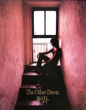 The Other Dawn/キリト(著者)