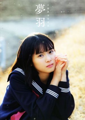 山崎夢羽写真集 夢羽/西田幸樹(写真家),山崎夢羽(タレント)