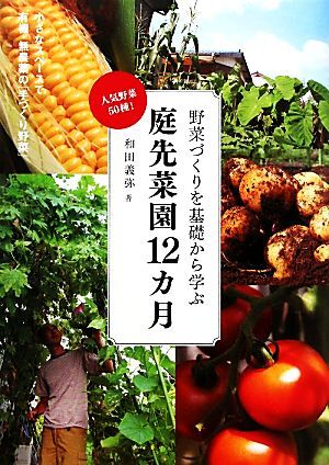 庭先菜園12カ月 野菜づくりを基礎から学ぶ 人気野菜50種！/和田義弥【著】
