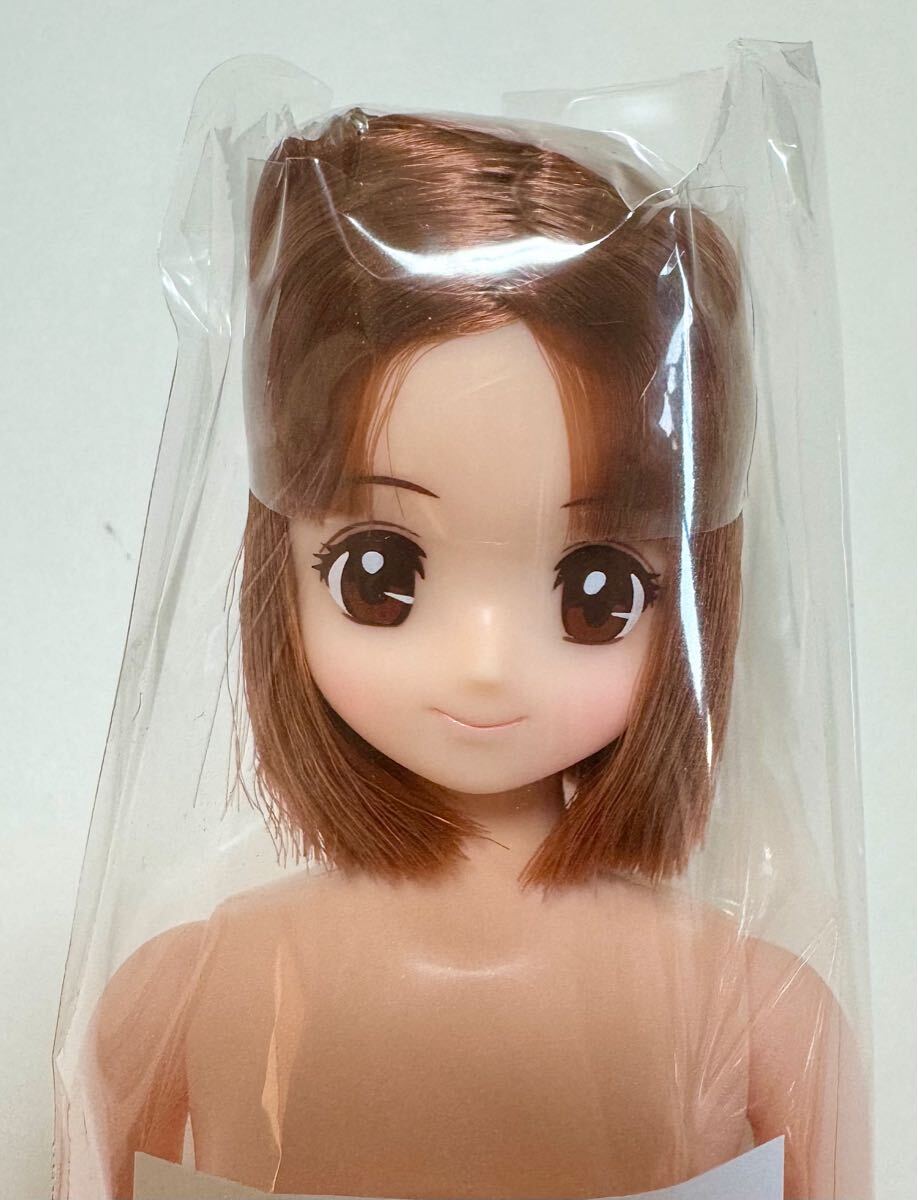 AGリリアン リカちゃんキャッスル おたのしみドール ジェニー AGリリアン リカちゃんキャッスル おたのしみドール ジェニー