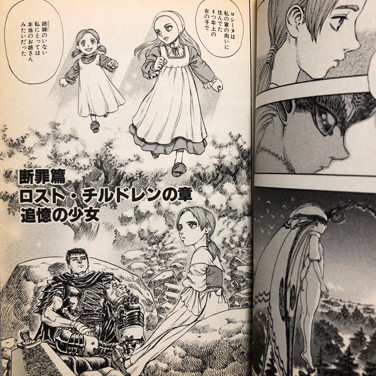 BERSERK ベルセルク 15巻 初版本 三浦建太郎「白泉社 JETS BERSERK ベルセルク 15巻 初版本 三浦建太郎「白泉社 JETS