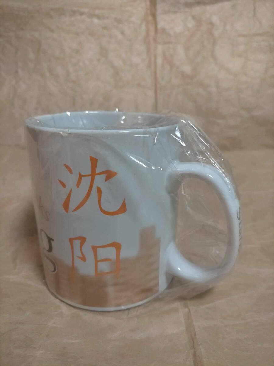 限定 スターバックス シティマグ コレクターシリーズ 瀋陽 限定 スターバックス シティマグ コレクターシリーズ 瀋陽