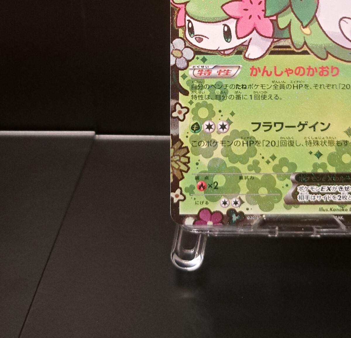 ポケキュン ぽけきゅん シェイミEX 212/XY-P (13)|ゲーム ポケキュン ぽけきゅん シェイミEX 212/XY-P (13)|ゲーム