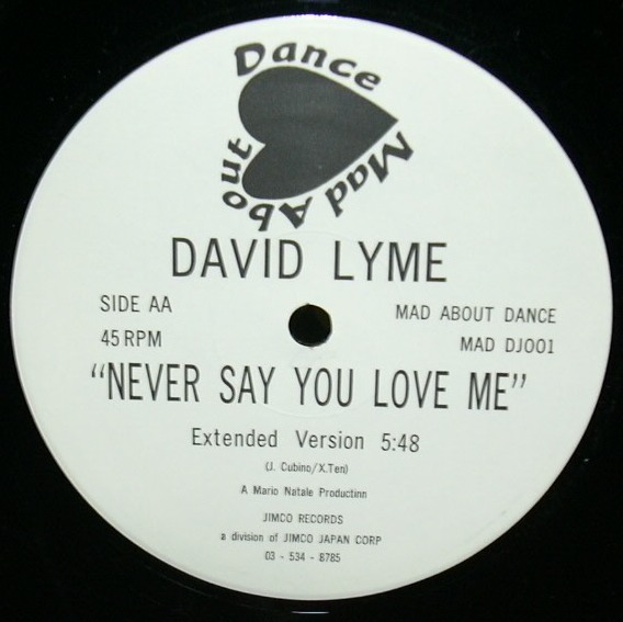 ＤＡＶＩＤ ＬＩＭＥ　ＮＥＶＥＲ ＳＡＹ ＹＯＵ ＬＯＶＥ ＭＥ　ＥＵＲＯ　ユーロ　プロモ盤　国内プロモ