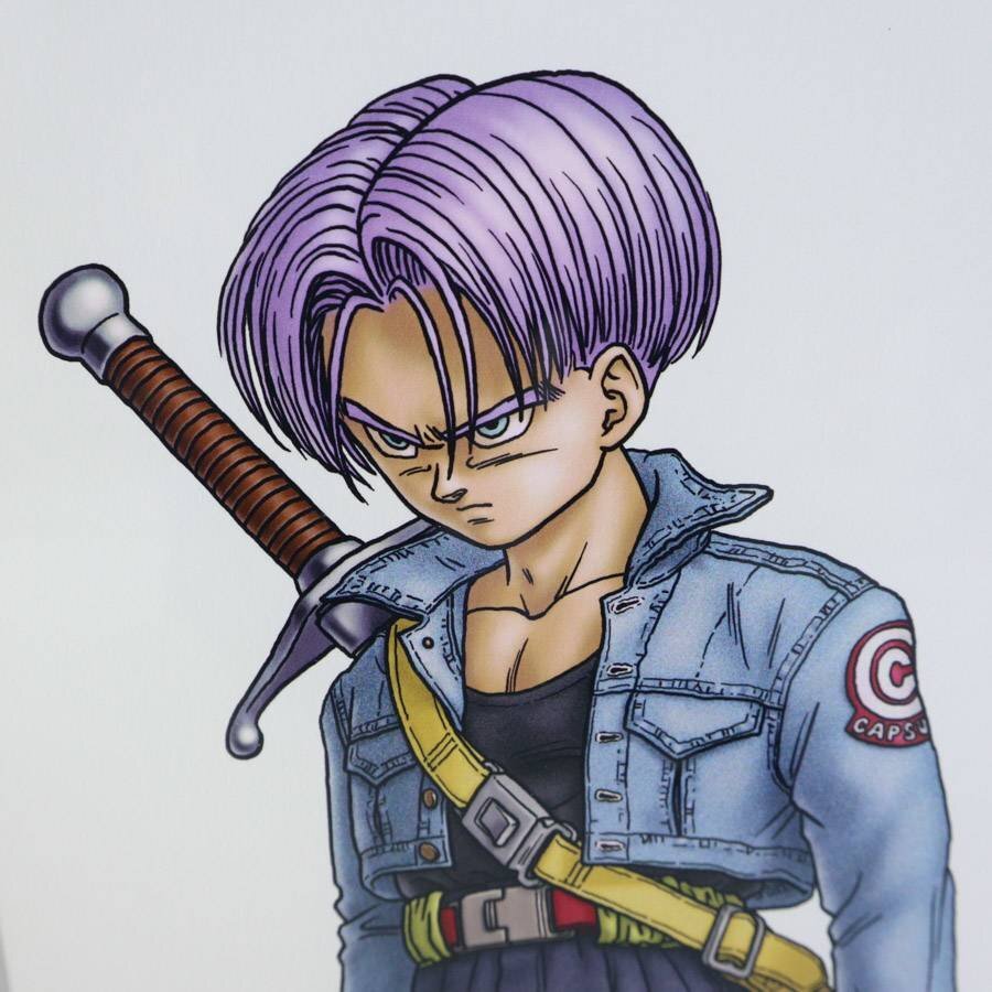 希少!ドラゴンボール 完全版 23巻表紙 トランクス 鳥山明 希少!ドラゴンボール 完全版 23巻表紙 トランクス 鳥山明