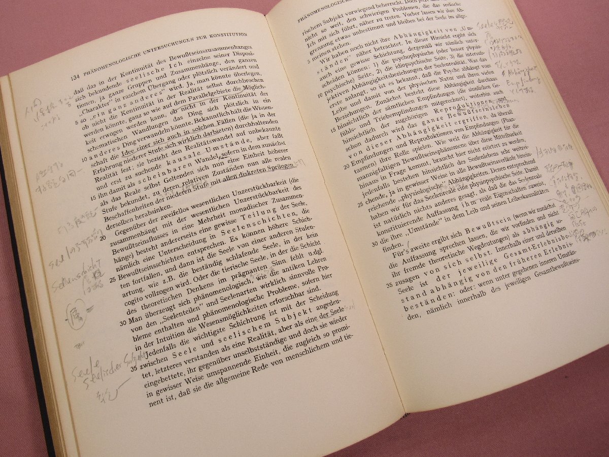 全日本送料無料 ☆洋書 ドイツ語 『 EDMUND HUSSERL まとめて15冊セット 洋書、外国語書籍
