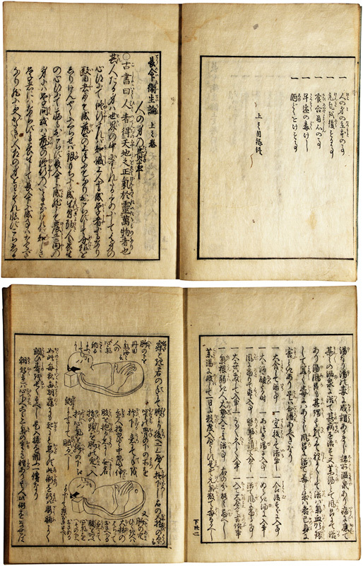 楠家伝七巻書 - 和書 楠家伝七巻書 - 和書