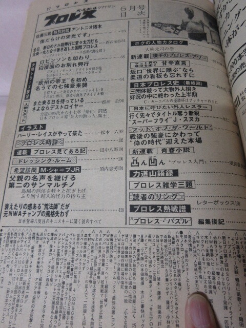 「月刊プロレス　1979．6」レイス対鶴田　R木村対グラハム金網(wǎng)　Mツルノ対原WWUジュニア　ベースボールマガジン社 