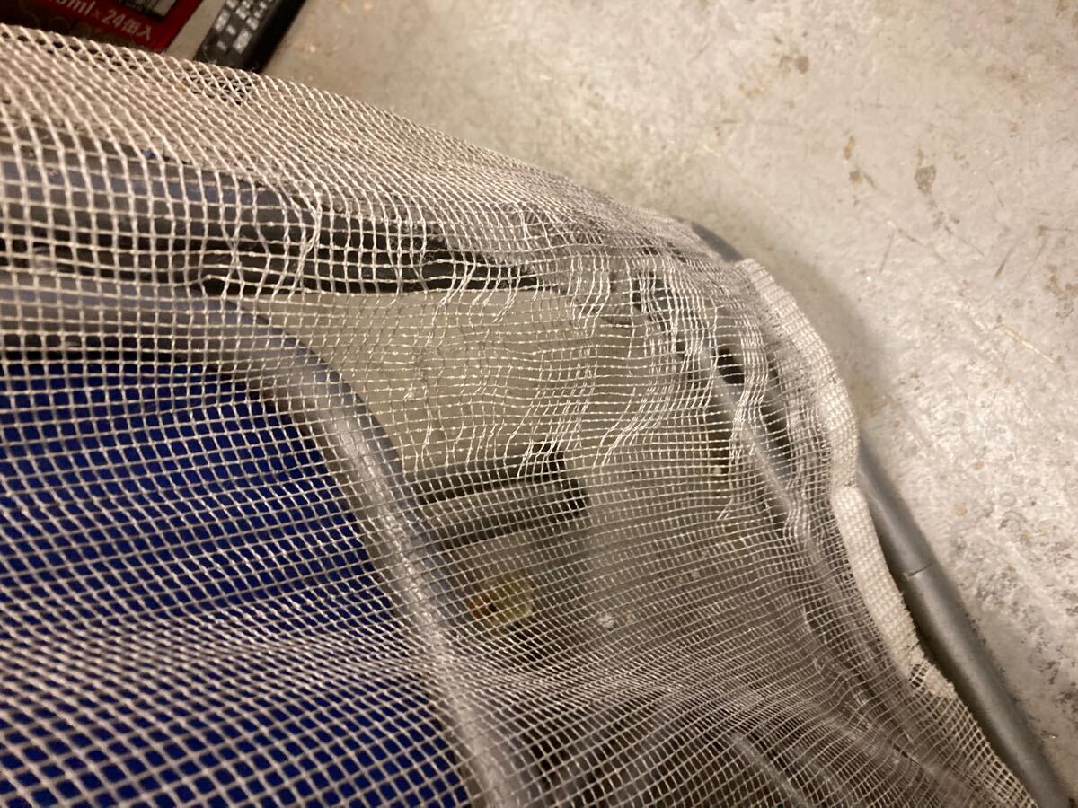 【雑貨】 テニス ゴルフ 球技 的 ネット サイズ 170×170 少しほつれ、切れあり_画像4