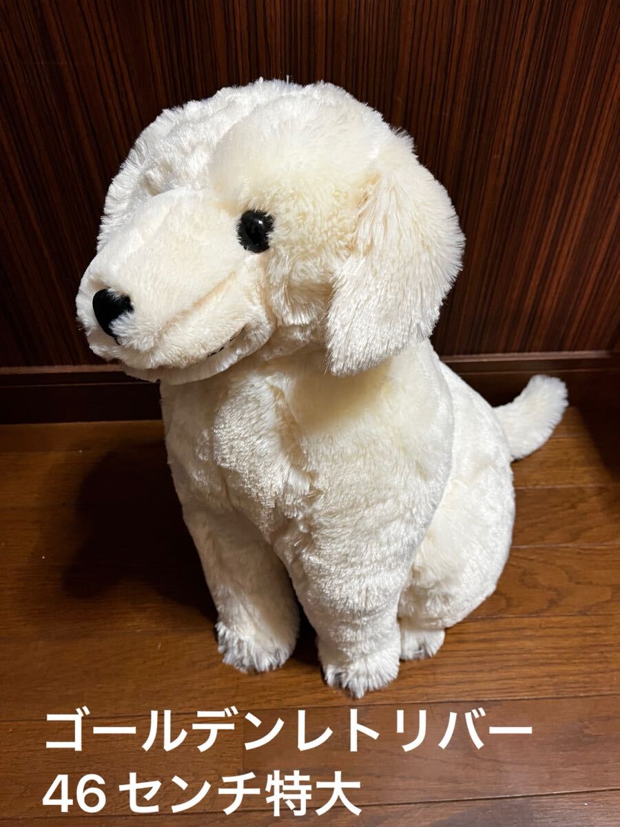 AMUFUN　ほっこりゴールデンレトリバー 金太郎 ぬいぐるみ 　特大　BIG 46cm 犬