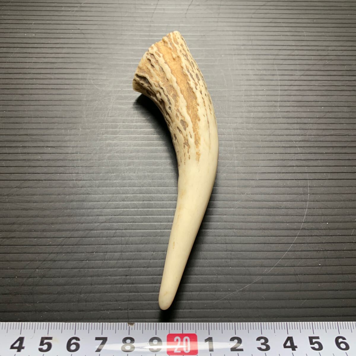 12-73*先端1本*蝦夷鹿*鹿角*根付け*鹿ノ角*タモ*ナイフ 12-73*先端1本*蝦夷鹿*鹿角*根付け*鹿ノ角*タモ*ナイフ