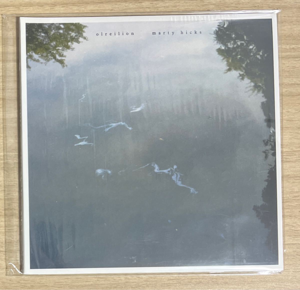 アンビエント名盤 Marty Hicks / Olreilion Bullflat3.8 / BF001 Chihei Hatakeyama
