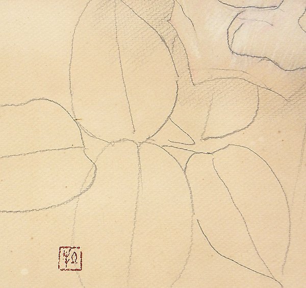 模写/円山應挙/清風牡丹図/花図/横物//掛軸☆宝船☆AD-402