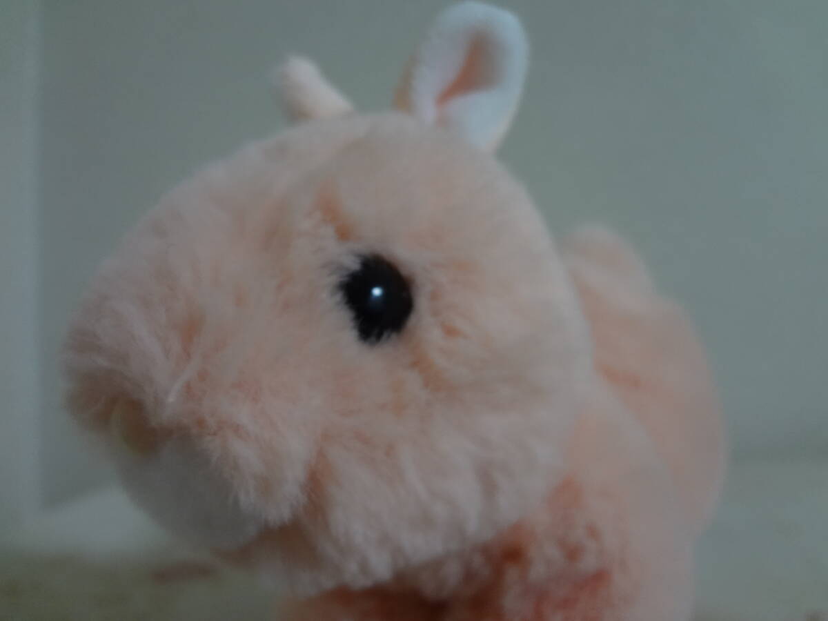 TAKE OFF テイクオフ　ウサギ　ぬいぐる