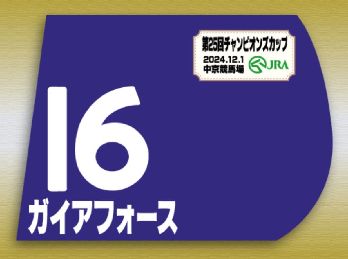 【ガイアフォース】期間限定販売ミニゼッケン Bibian 比比昂 - ガイアフォース 2024年チャンピオンC ミニ