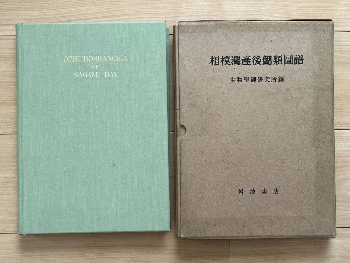 相模湾産後鰓類図譜 生物学御研究所編 ウミウシ - 生物学 相模湾産後鰓類図譜 生物学御研究所編 ウミウシ - 生物学