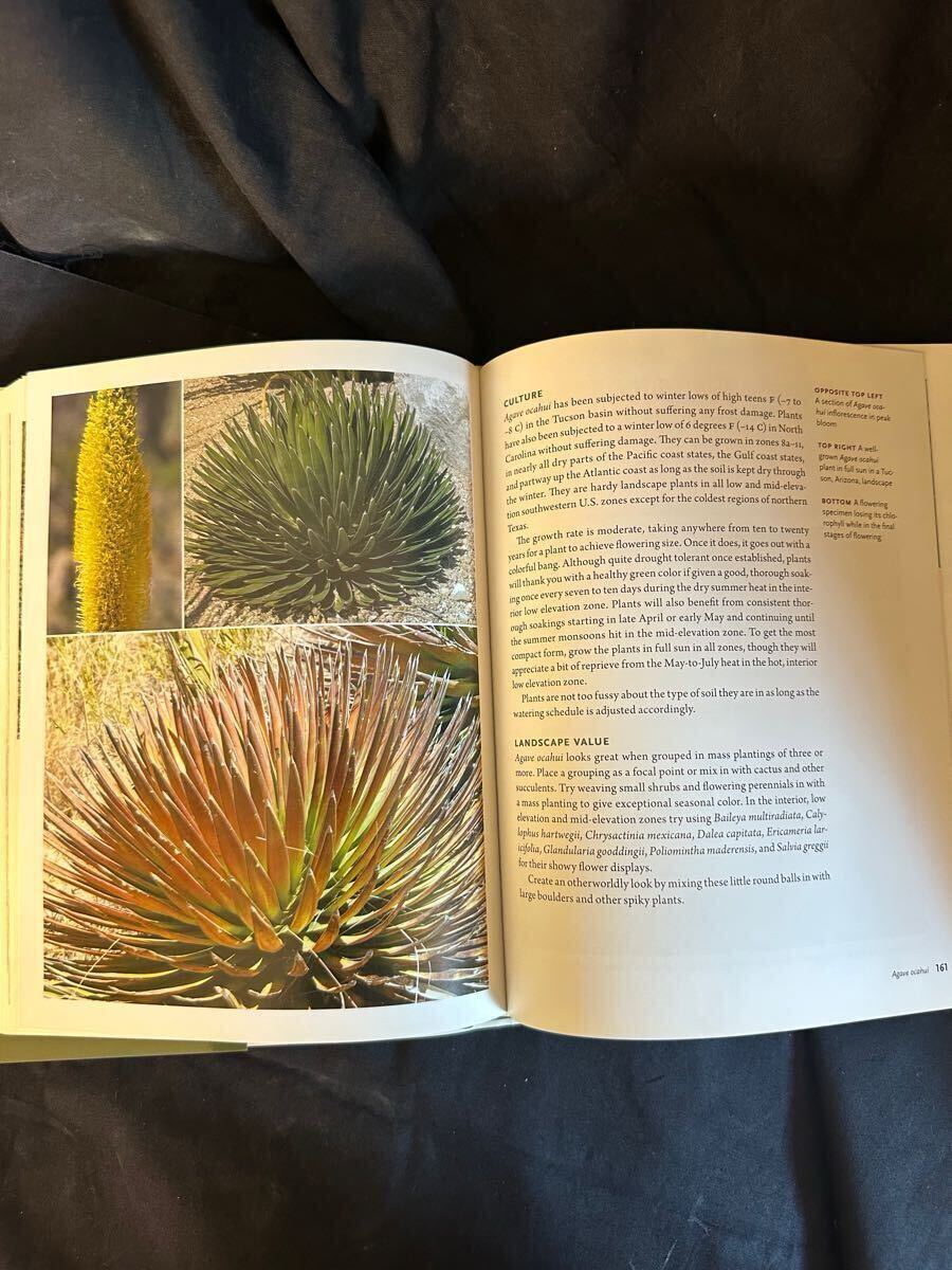 5100円 Agaves: Living Sculptures for Landscapes and 5100円 Agaves: Living Sculptures for Landscapes and