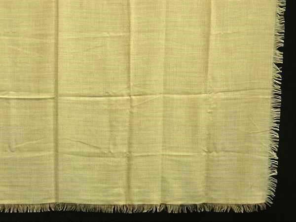 1円 □極美品□ AGNONA アニオナ カシミヤ×シルク 大判 フリンジ 1円 □極美品□ AGNONA アニオナ カシミヤ×シルク 大判 フリンジ
