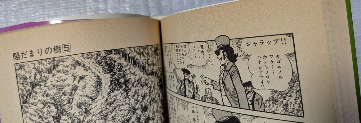 全初版】陽だまりの樹 全11(完) 手塚治虫 小学館 ビッグ 全初版】陽だまりの樹 全11(完) 手塚治虫 小学館 ビッグ