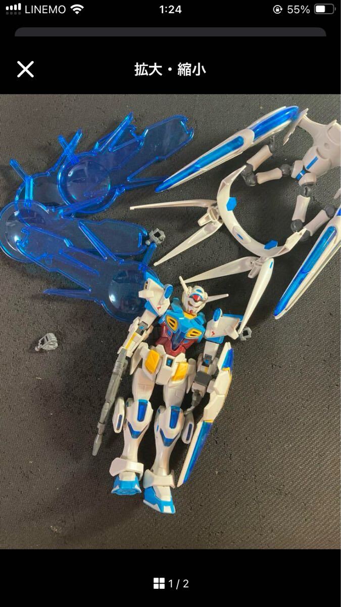 hg gセルフ　パーフェクトパック