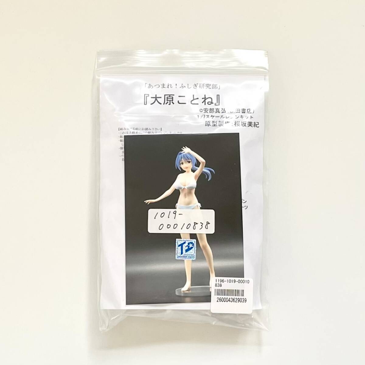 新品未開封】チェリーブロッサム あつまれ ふしぎ研究部 大原 新品未開封】チェリーブロッサム あつまれ ふしぎ研究部 大原