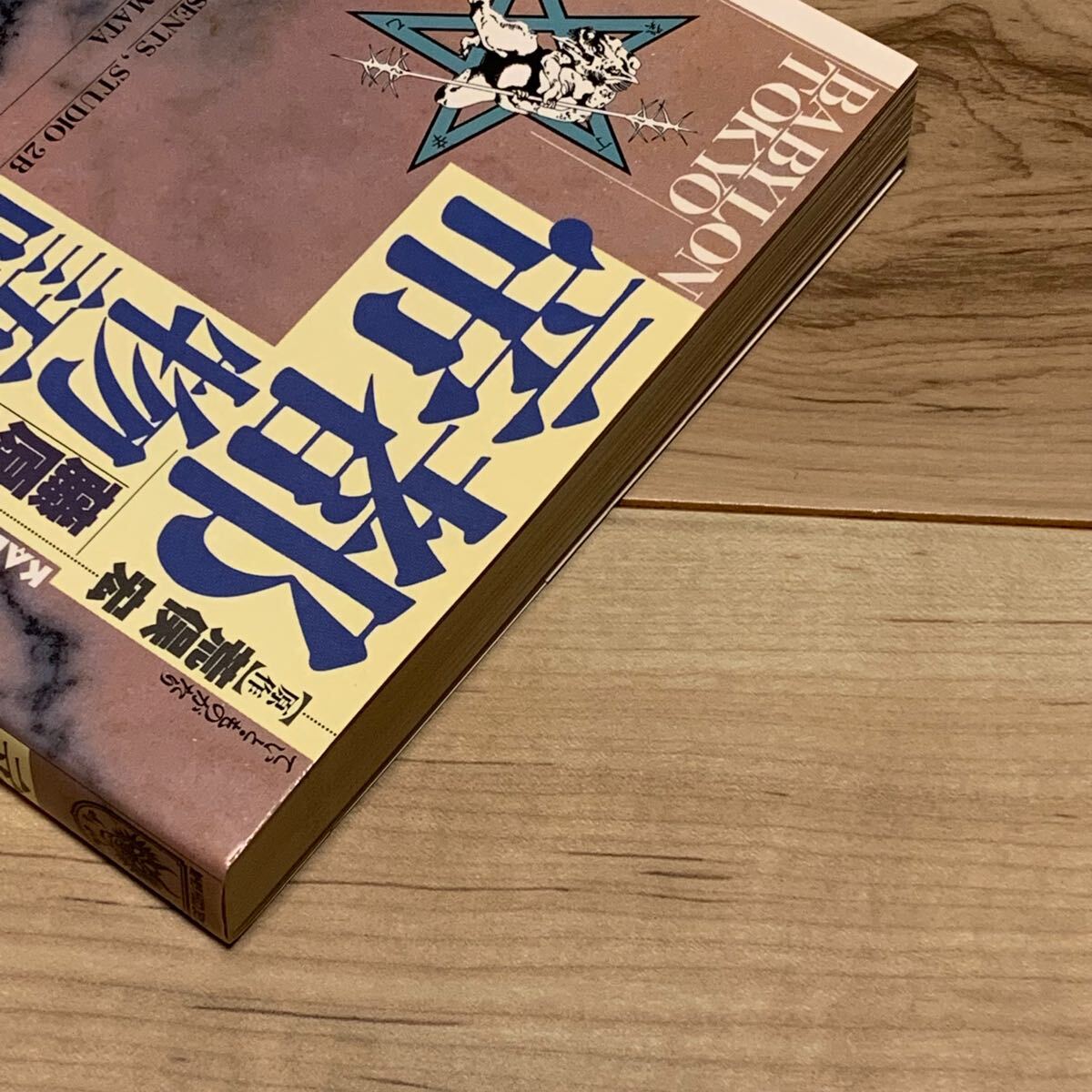 名称大学秘書 巻上・下 藤原寿山 太元堂 名稱大学秘書 - その他 名称大学秘書 巻上・下 藤原寿山 太元堂 名稱大学秘書 - その他