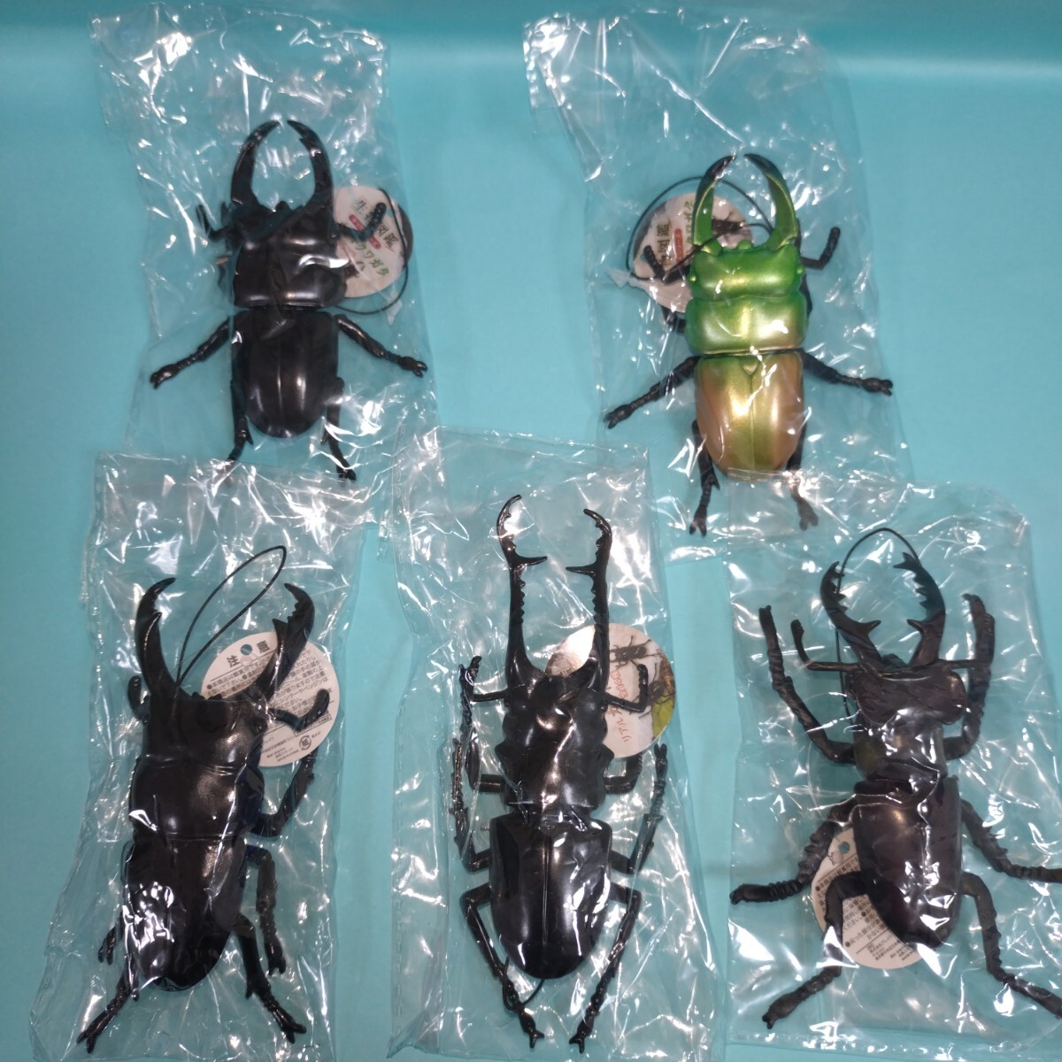 生物図鑑　キッズシリーズ　リアル　カブトクワガタ　クワガタ５種セット　フィギュア　キーホルダー