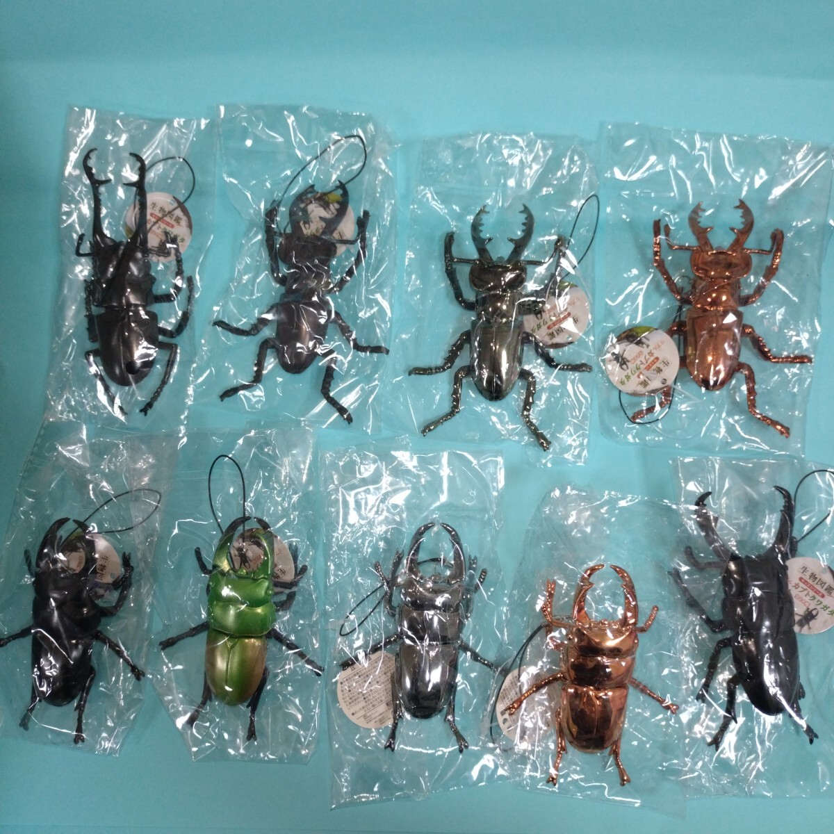 生物図鑑　キッズシリーズ　リアル　カブトクワガタ　クワガタ９種セット　フィギュア　キーホルダー