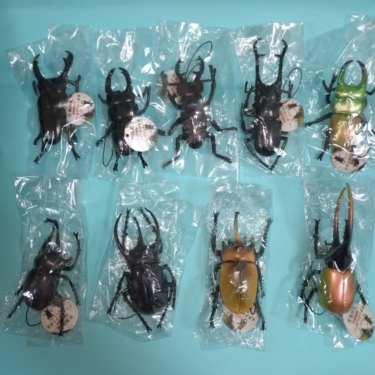 生物図鑑　キッズシリーズ　リアル　カブトクワガタ　クワガタ５ カブト４　９種セット　フィギュア　キーホルダー