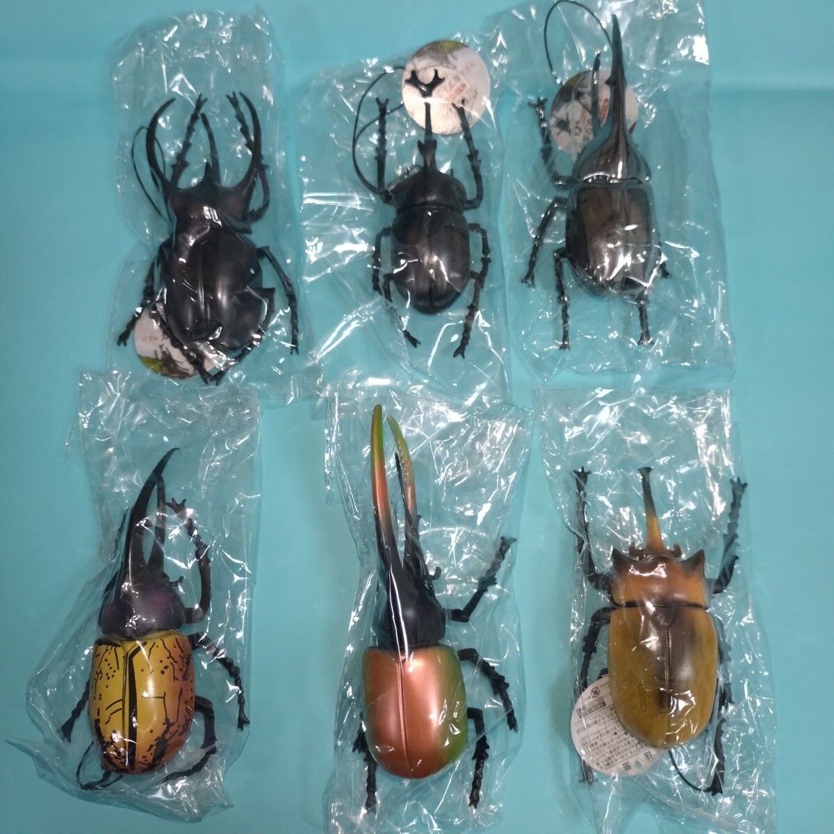 生物図鑑　キッズシリーズ　リアル　カブトクワガタ　カブト６種セット　フィギュア　キーホルダー