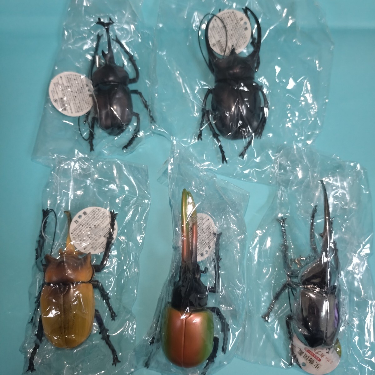 生物図鑑　キッズシリーズ　リアル　カブトクワガタ　カブト５種セット　フィギュア　キーホルダー