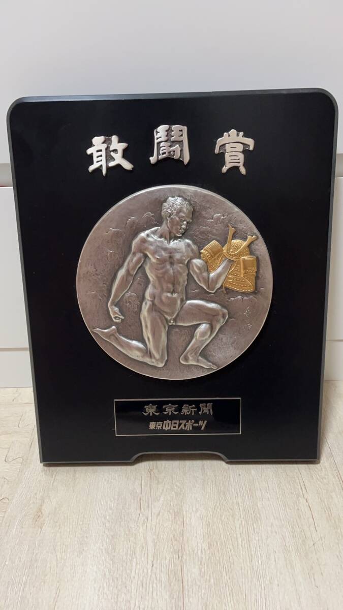 大相撲 相撲 敢闘賞 受賞盾 三賞 (大相撲春場所新番付 先場所 大相撲 相撲 敢闘賞 受賞盾 三賞 (大相撲春場所新番付 先場所