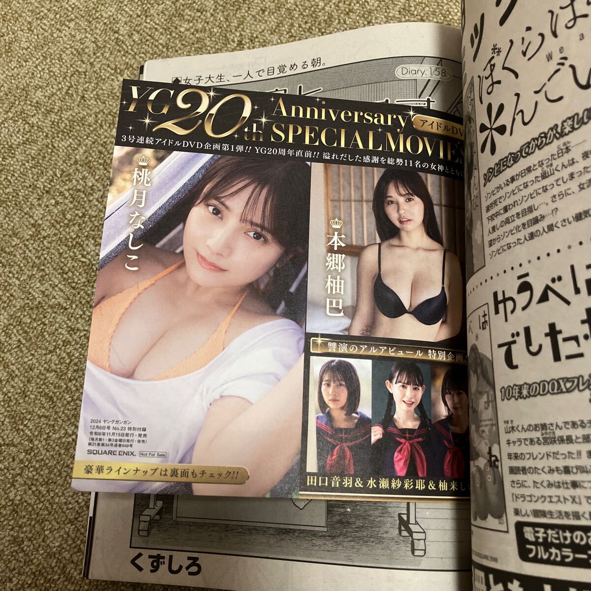 ヤングガンガン 2024年12月6日号 (スクウェア・エニックス)表紙 田中美久 No.23 桃月なしこ 本郷柚巴 他 DVD付き_画像5