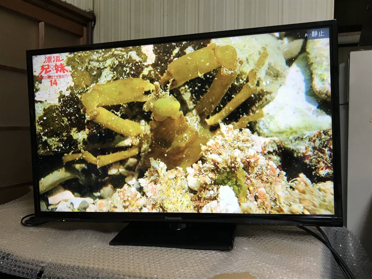 Bibian 比比昂- Panasonic VIERA TH-32D320 Wチューナー搭載裏 Bibian 比比昂- Panasonic VIERA TH-32D320 Wチューナー搭載裏